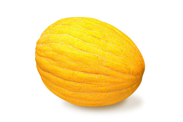 Ripe melon isolated on white