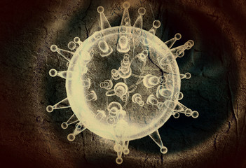 transparent virus model