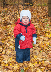 The one-year-old child stands on yellow leaves and cries