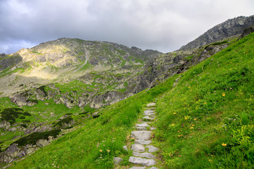 Pathway made of stones through green hill in mountains 