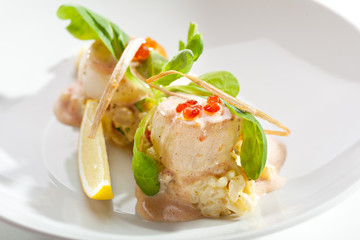 Scallop