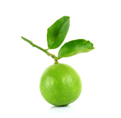 Fresh lime isolated on the white background