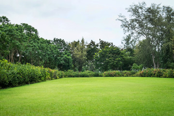 Peaceful Garden