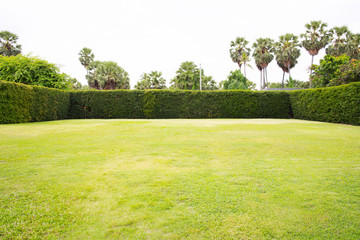 Peaceful Garden