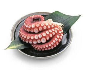 Octopus(タコ) © funny face