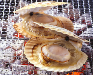 ホタテ © funny face
