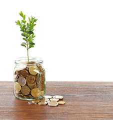 Money with growing sprout in glass jar on table isolated on white