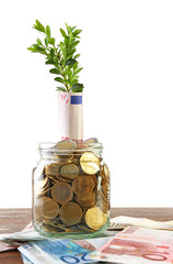 Money with growing sprout in glass jar on table isolated on white