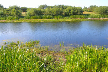 River at sunny day.