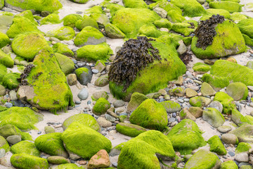 Rochers verts