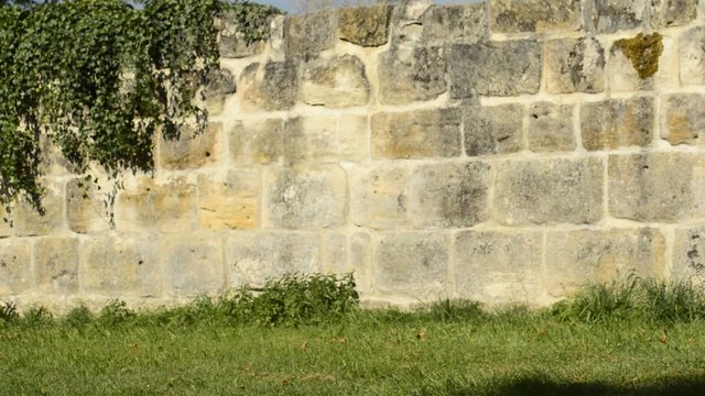 Klostermauer mit S&uuml;hnekreuz
