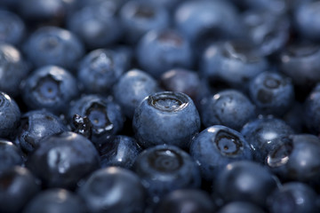 fresh blueberries