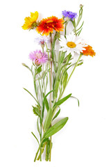 Naklejka premium Wildflowers isolated on white
