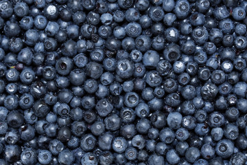 fresh blueberries