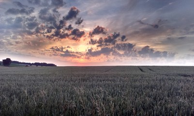 Sonnenuntergang über einem Weizenfeld bei Leiblfing