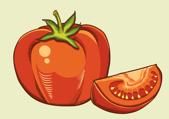 Red tomatos.Vector fresh vegetable isolated illustration