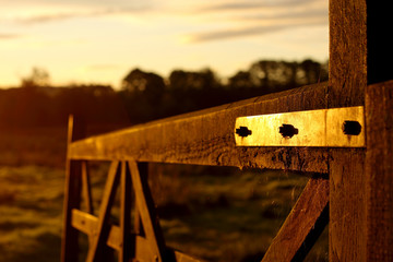 Gate at sunrise.
Wooden farm gate at sunrise.