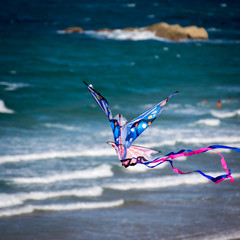 Kite flying on the beach
