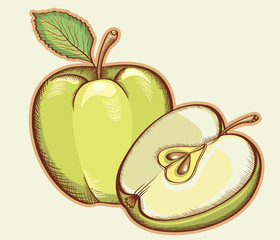 Green apples isolated for design.Vector illustration of fresh fr