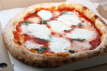 Delicious pizza with mozzarella in box, closeup