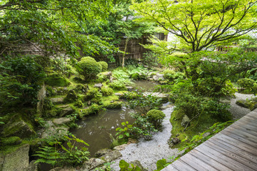 京都　宝泉院　庭園