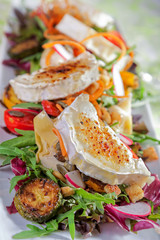 Gourmet Essen Bunter Salat mit karamellisieren Ziegenkäse u. gegrillten Antipasti Nahaufnahme