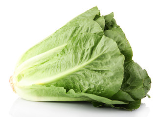 Lettuce isolated on white