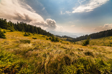 Summer landscape in mountains and the dark blue sky with clouds
