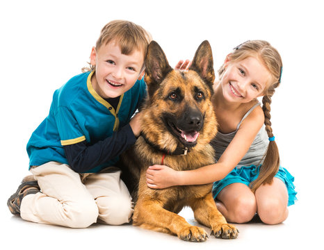 children with a shepherd dog