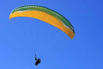 Paraglider