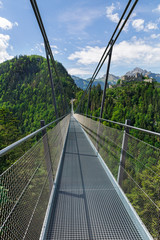 Fototapeta na wymiar suspension bridge and castle