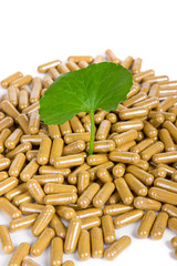 Herbal medicine from Centella asiatica