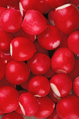 Heap of fresh radishes close up