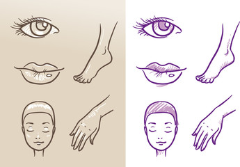 Beauty cosmetic icon set, eye, lips, face, hand, foot. Hand drawn vector illustration