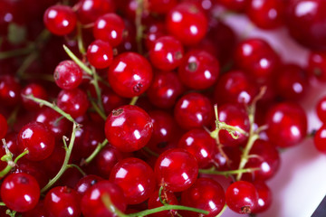 Ripe red currants on table, closeup
