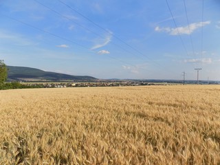Barley field, power lines, village, forests and sky