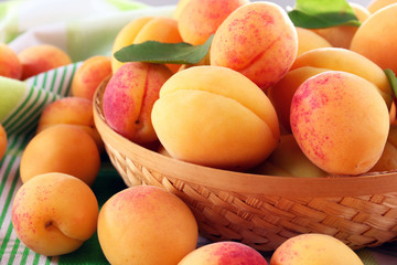 Ripe apricots in wicker bowl on checkered napkin, closeup