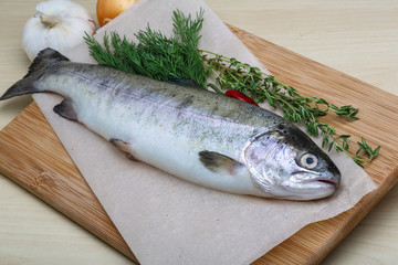 Raw trout