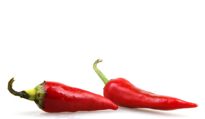 Red chili pepper