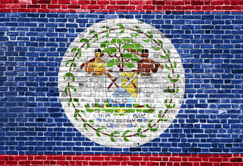 Flag of Belize painted on brick wall, background texture