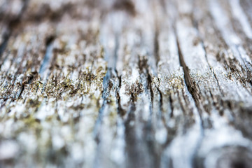 Old wood. Corner view