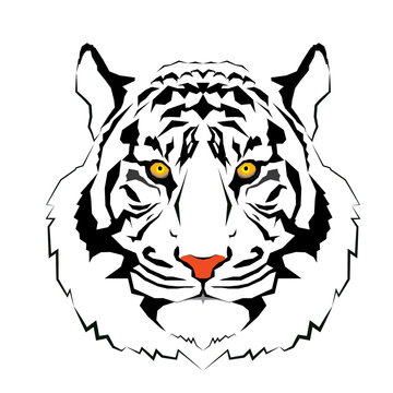 Tiger head - vector illustration