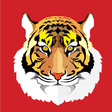 Tiger head - vector illustration