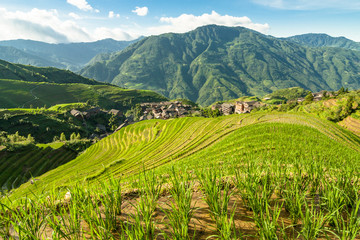 Longsheng rijstterrassen guilin china landschap