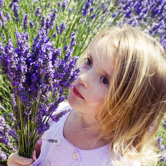 Child girl in floral field of lavender
