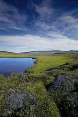 Fototapeta na wymiar Paesaggio islandese