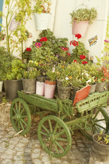 Flower pots on green  wagon