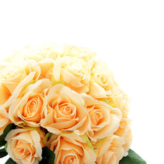 Artificial rose flowers  on white background