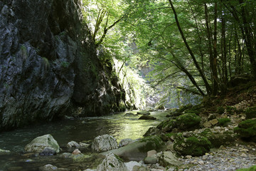 Obraz premium Rivière