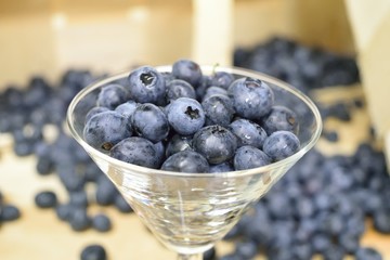 Heidelbeeren, Blaubeeren